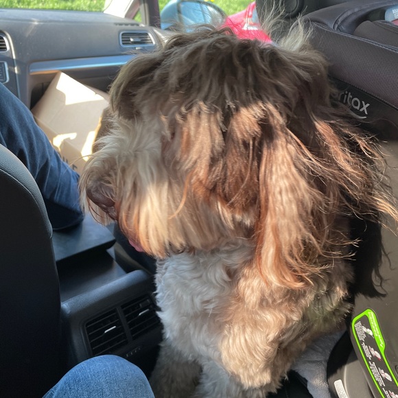 Meet your Posher, Jenna - Picture 1 of 1